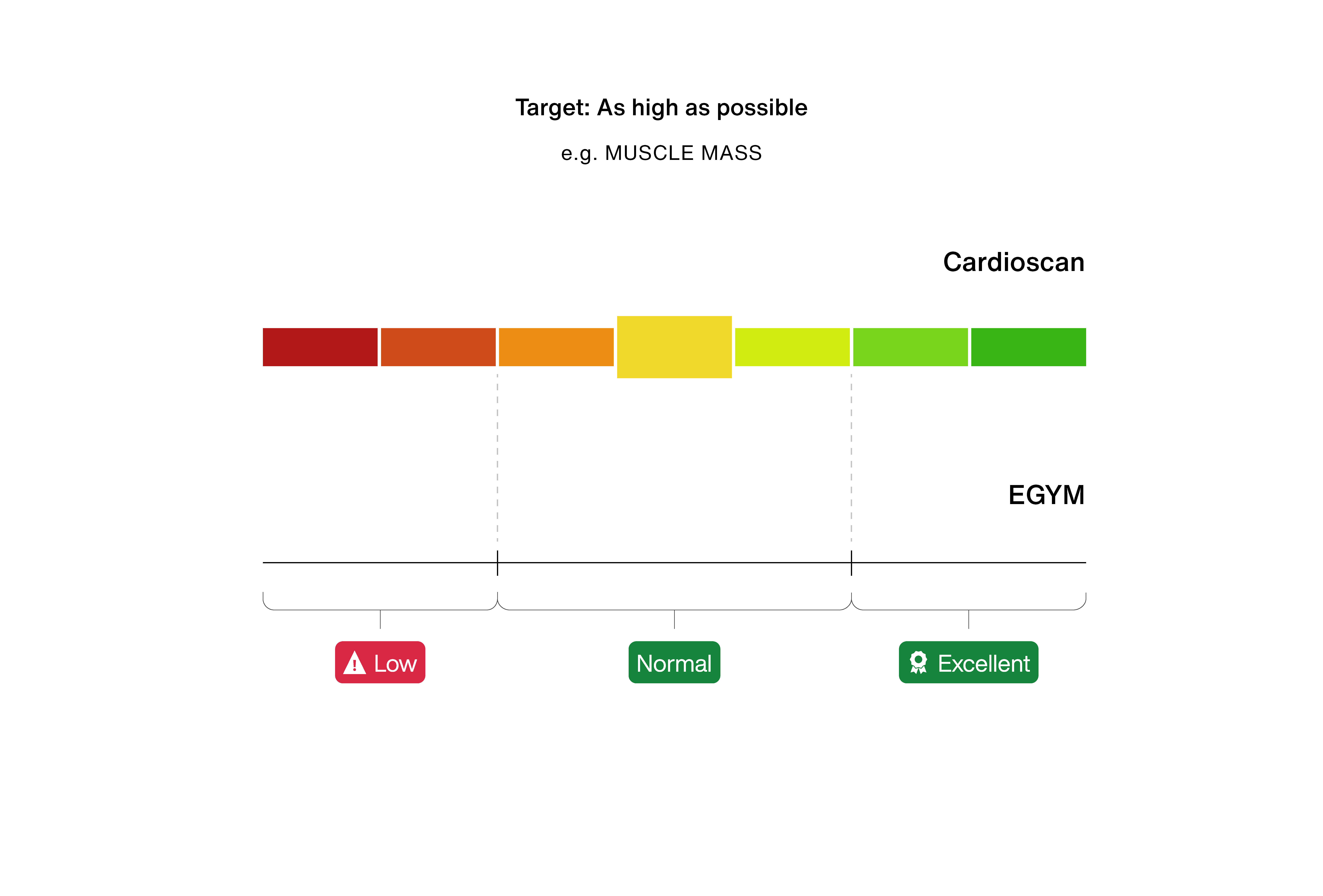 Interpretations of metabolic values for EGYM BioAge